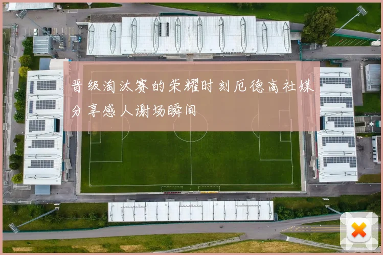 晋级淘汰赛的荣耀时刻厄德高社媒分享感人谢场瞬间