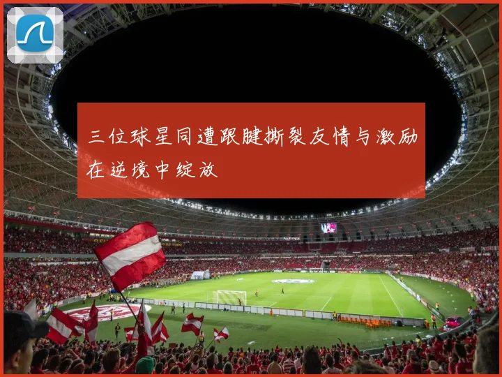 三位球星同遭跟腱撕裂友情与激励在逆境中绽放