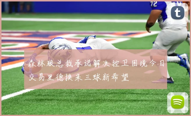 森林狼总裁承诺解决控卫困境今日交易里德换来三球新希望