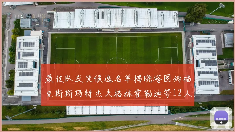 最佳队友奖候选名单揭晓塔图姆福克斯斯玛特杰夫格林霍勒迪等12人争夺荣耀